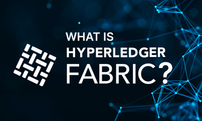 What Is Hyperledger Fabric And Its Business Use Cases?