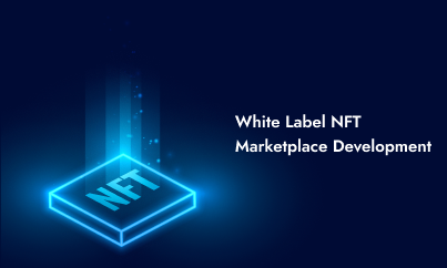 White Label NFT Marketplace Development Advantage
