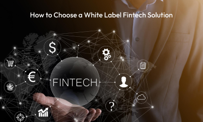 How to Choose a White Label Fintech Solution