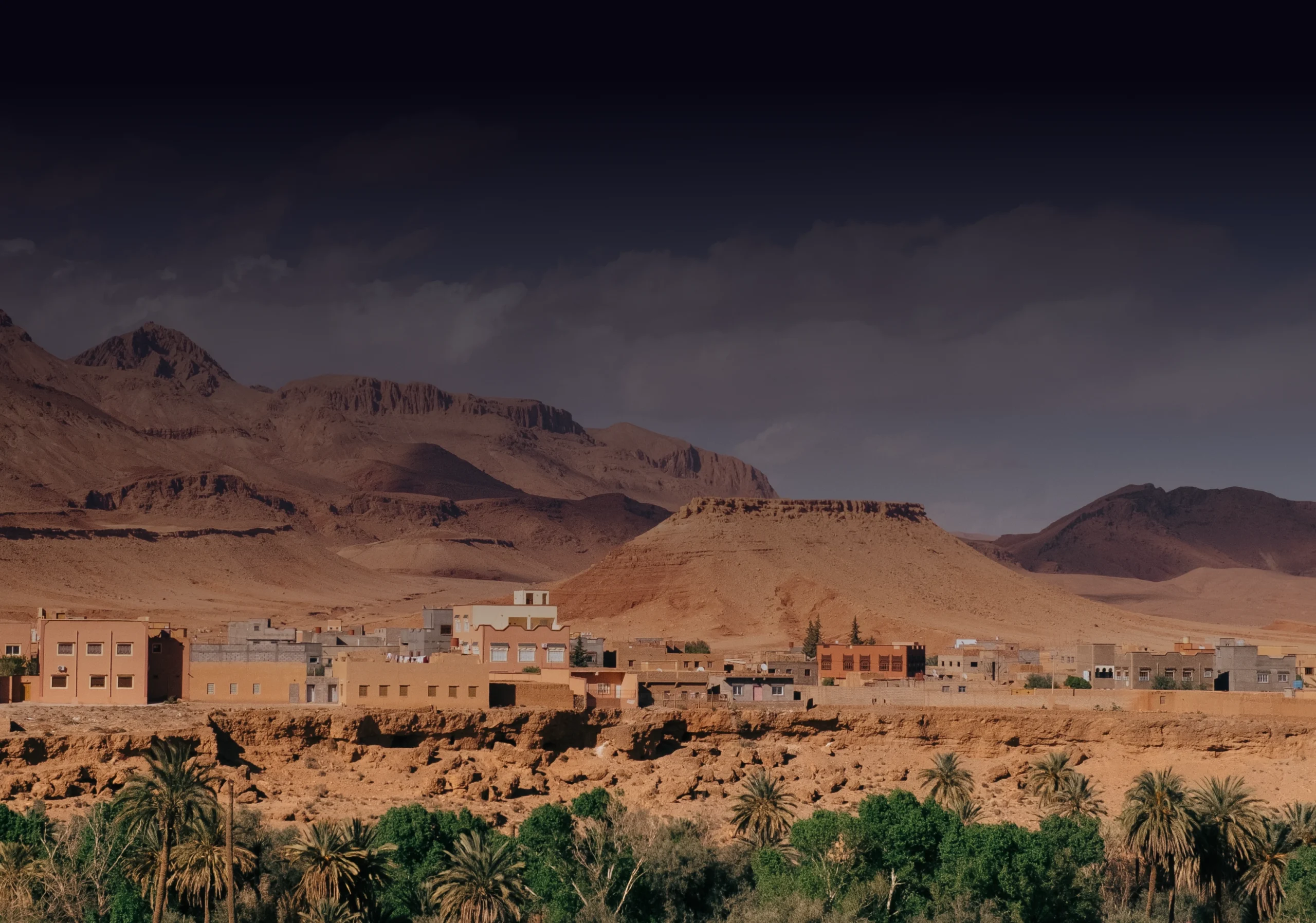 AI Development Company in Abha