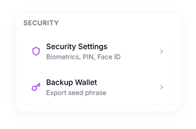 Secure Mnemonic Backup