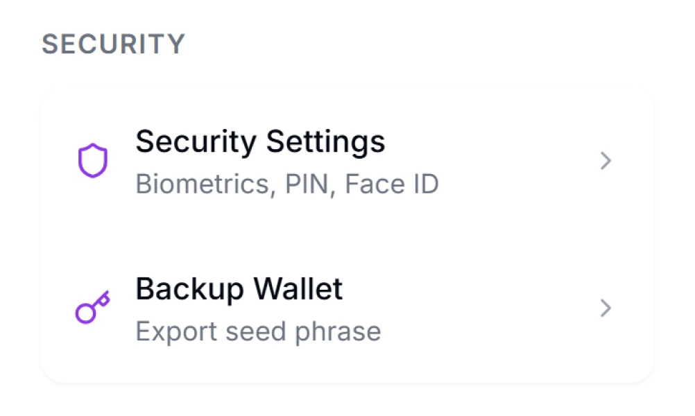 Secure Mnemonic Backup